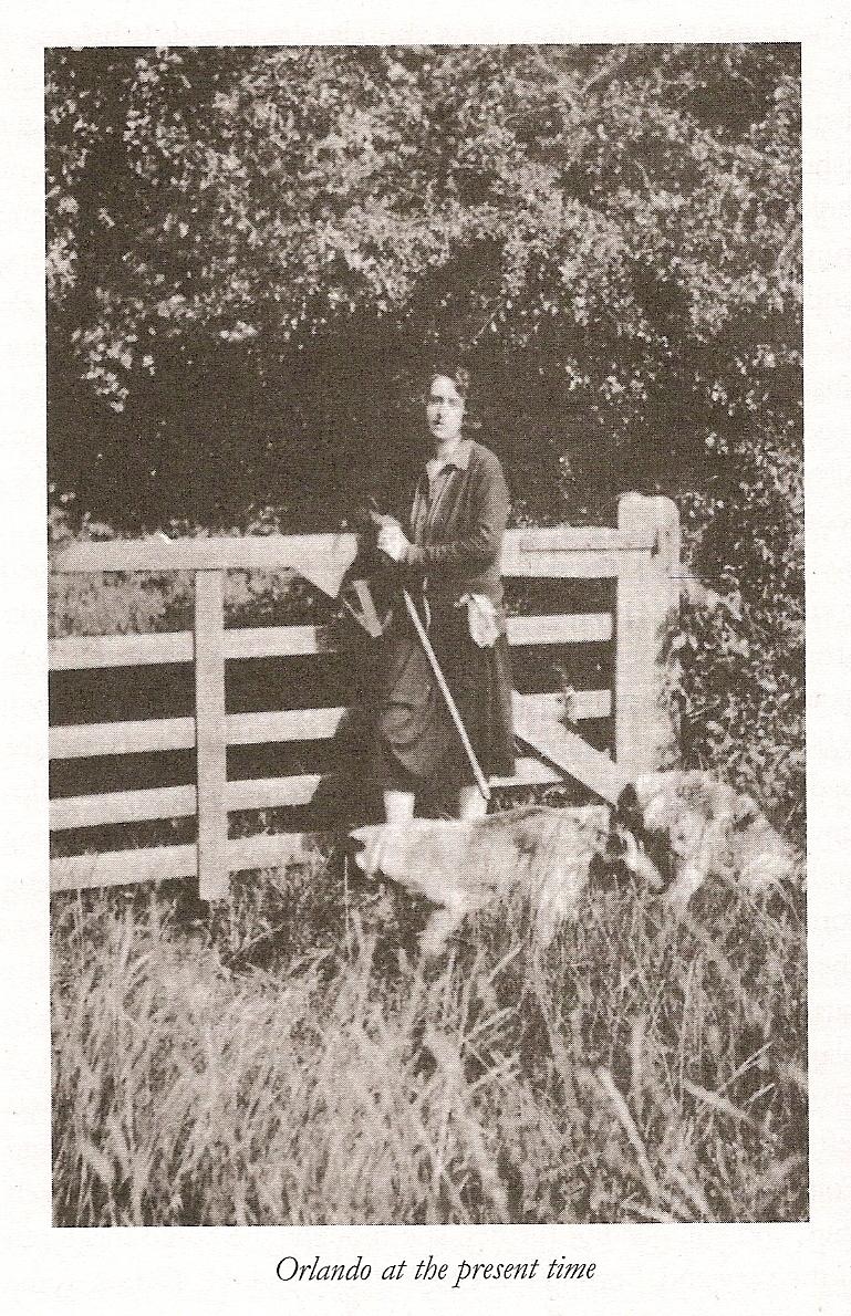 Virginia Vita