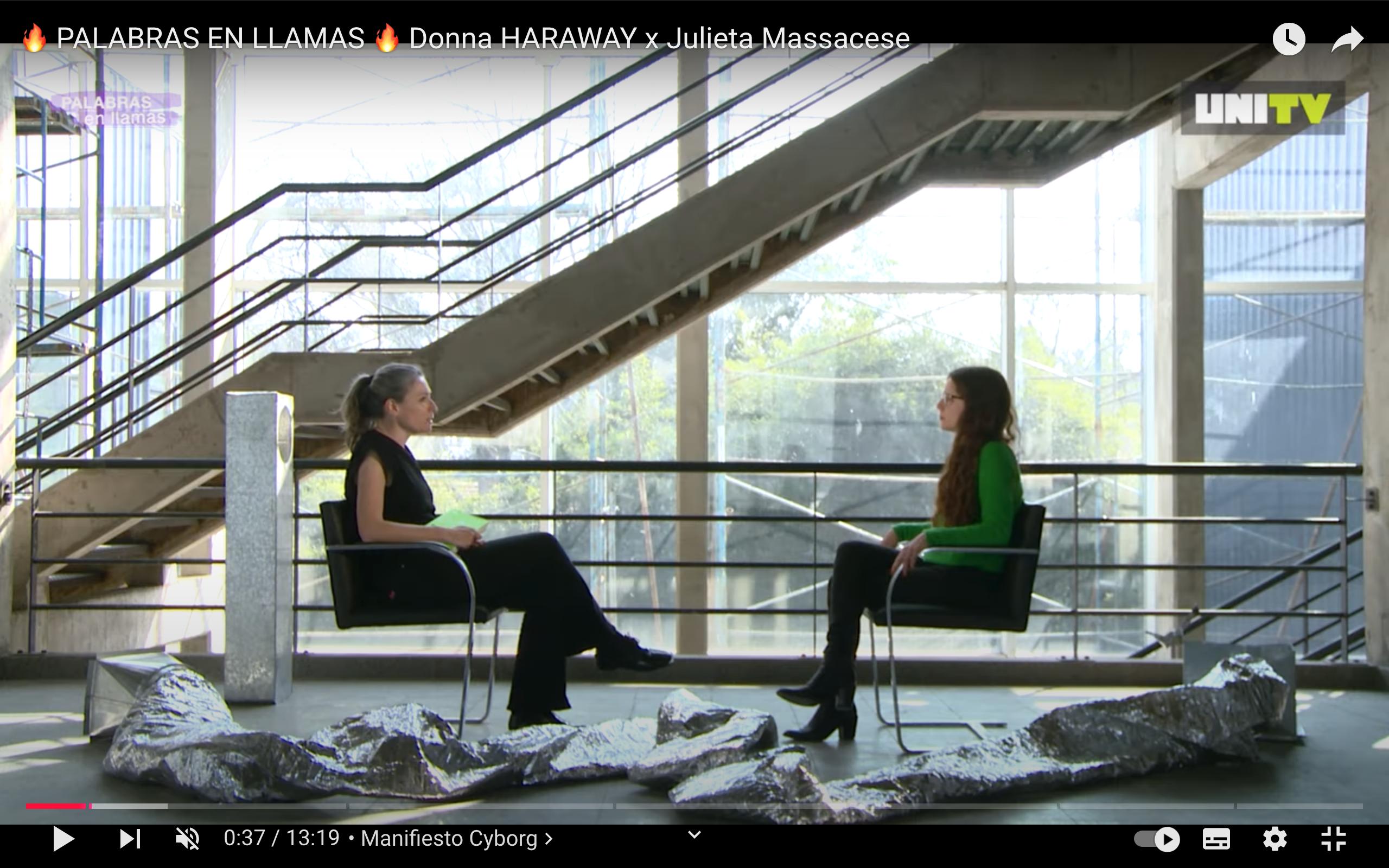Palabras en llamas - Donna Haraway por Julieta Massacese