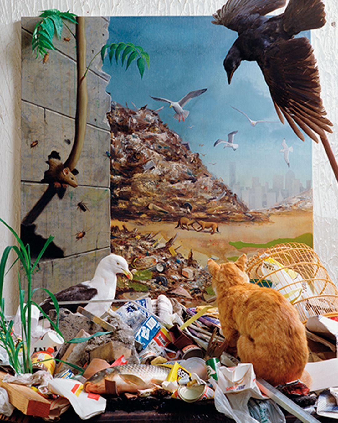 Menos gente en el mundo, ¿culpa de las feministas?